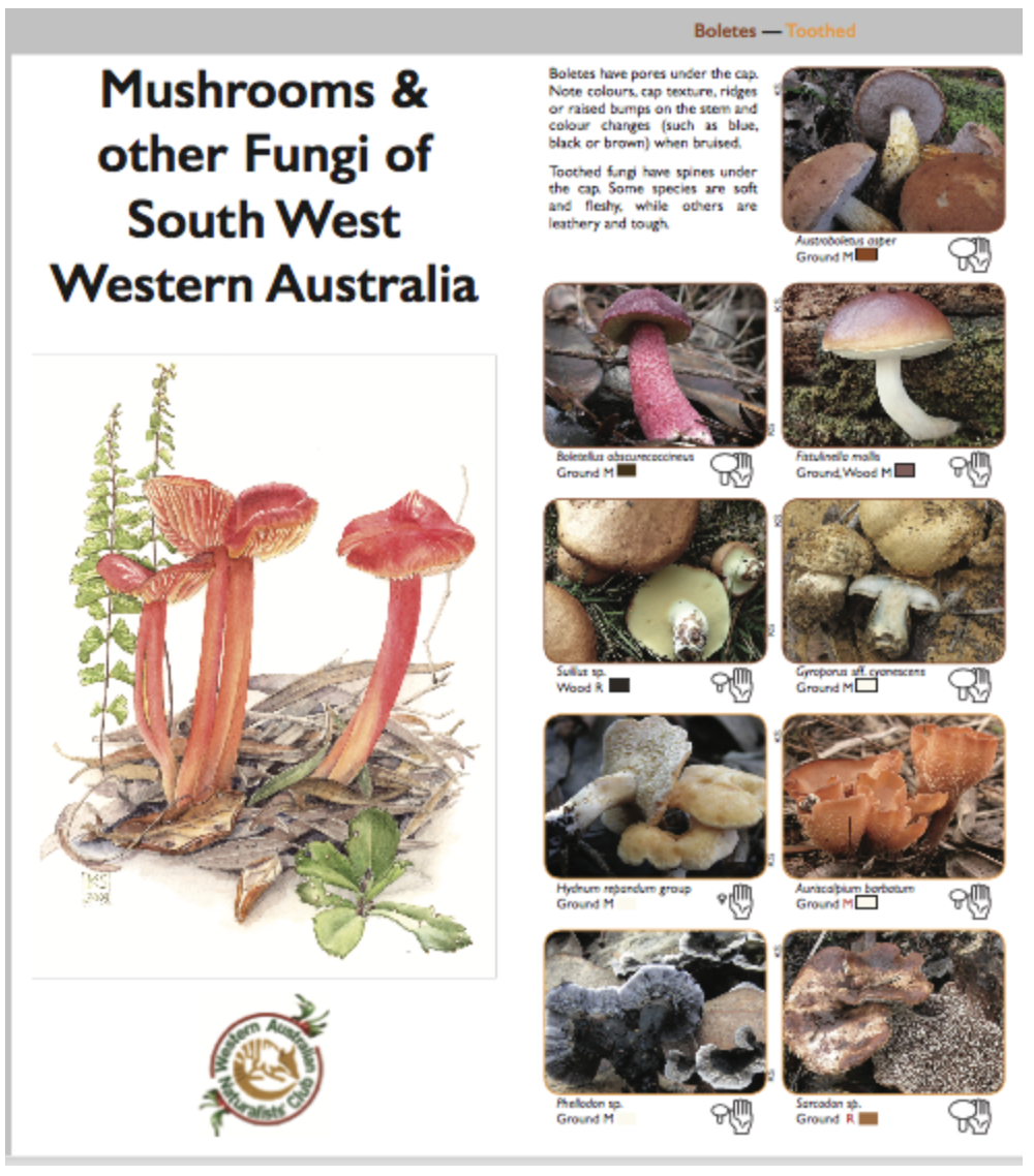As published by The West Australian