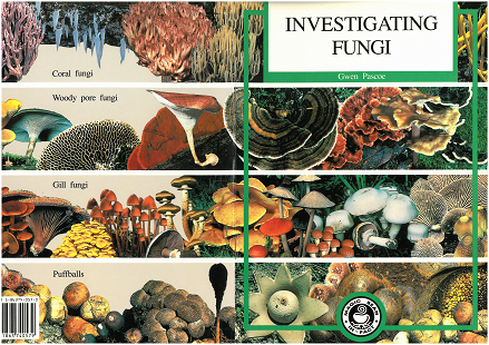 For kids to investigate fungi