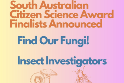 Finalists for Find our Fungi!