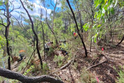 A win for citizen science and Fungimap