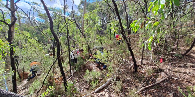 A win for citizen science and Fungimap