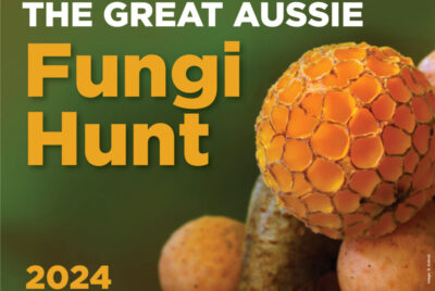 Great Aussie Fungi Hunt 2024